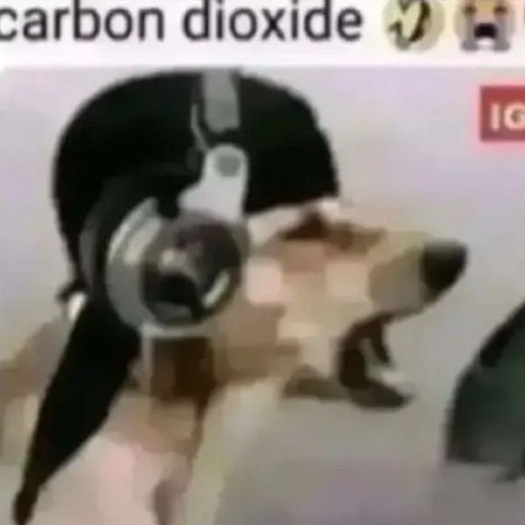 maxxsreal